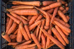 A close up picture of a brown plastic basket full of harvested bright orange carrots with their green foliage removed.