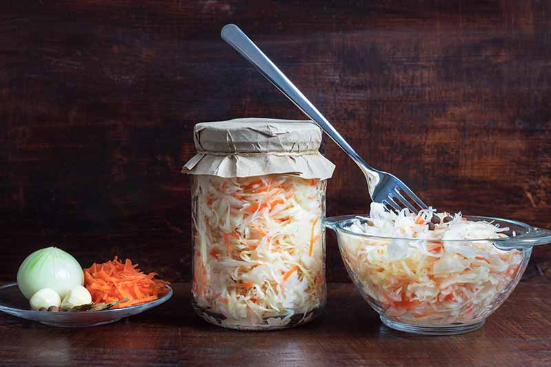 From the left of the frame, a small plate containing grated carrot, a peeled onion, and two cloves of garlic, next to a sealed jar containing grated cabbage to be made into sauerkraut. To the right of the frame is a bowl with grated vegetables and a fork sticking out of it. The background is dark wood.