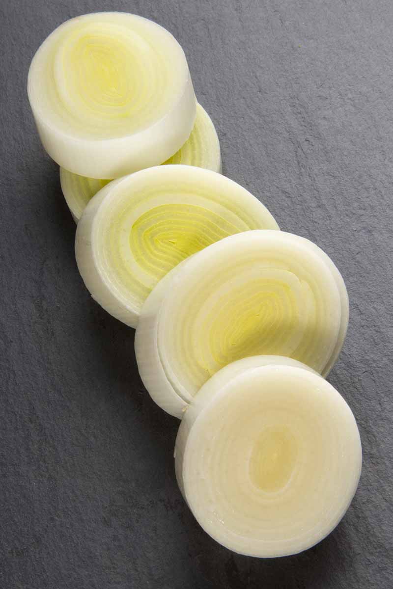 A close up picture of slices of white leek showing their concentric circles, on a slate gray background.