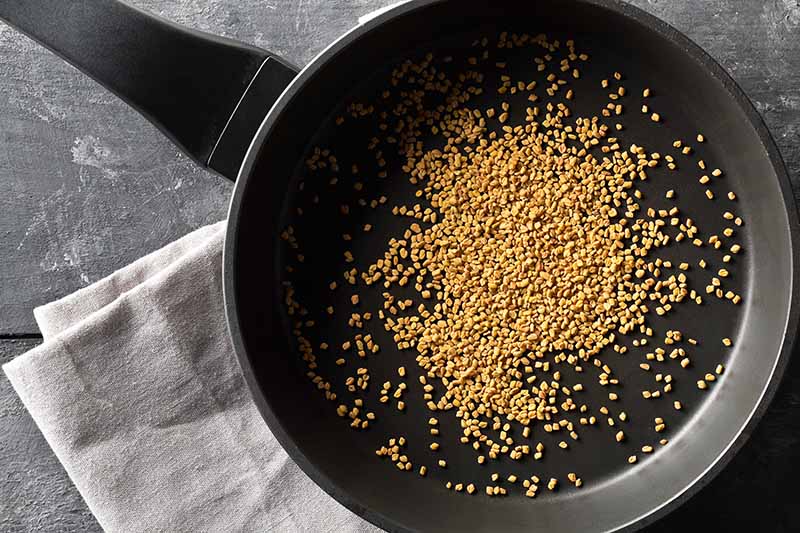 A close up of a black frying pan containing dried methi seeds for roasting. The background is a dark wooden surface and to the bottom left of the frame is a cream colored cloth.