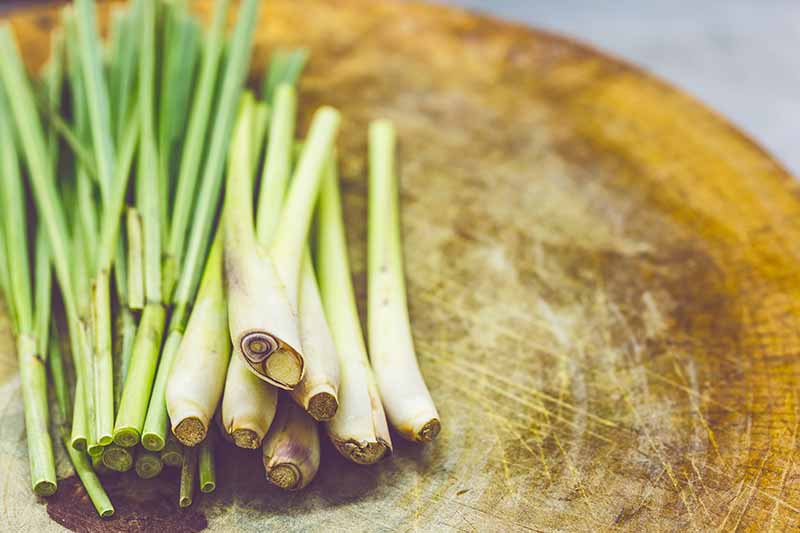 A close up of dried stems and leaves of lemongrass on a wooden chopping board.