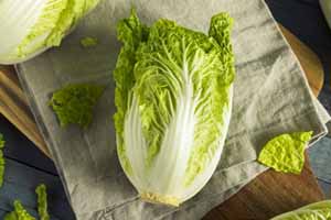 A harvested napa cabbage laying on a cheese cloth on a wooden table.