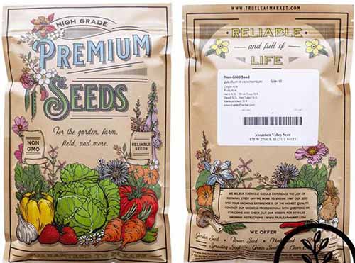 Front and back of winter savory seed packet on a white, isolated background.