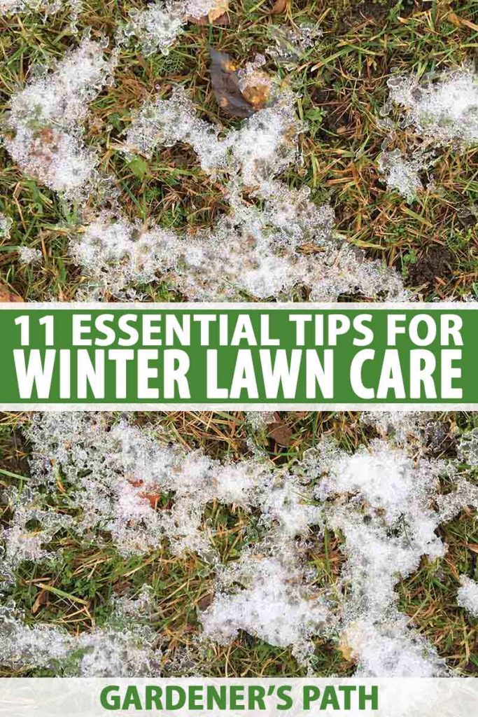 11 Winter Lawn Care Essentials, Winter Garden Lawn Care