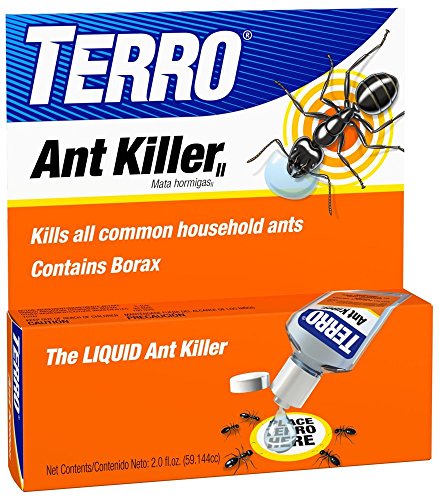 How to Control Ants in and Around Your Home - 99