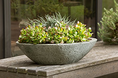 9 Best Succulent Planters For Container, Potted Succulent Garden