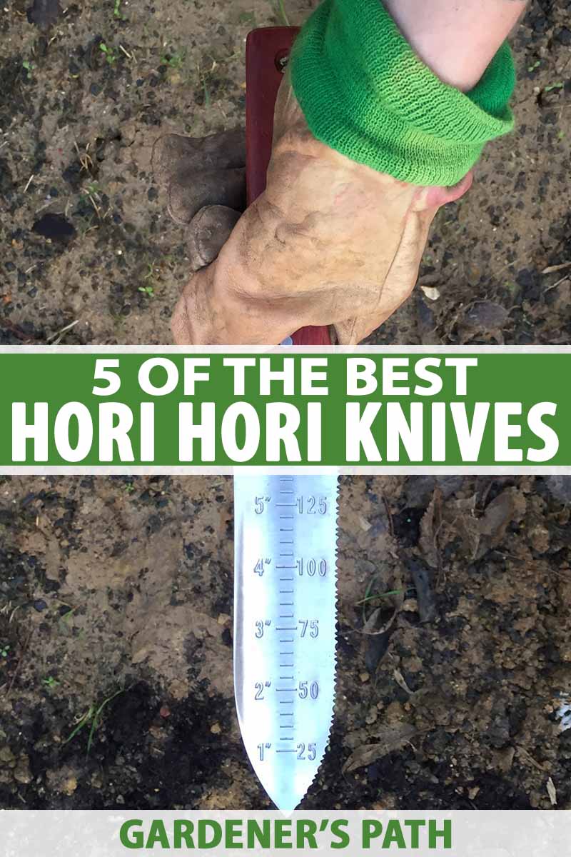 A vertical close up picture of a hand wearing a leather gardening glove holding a Japanese hori hori garden knife. The blade has depth measurements in both inches and millimeters. The background is dark soil. To the center and bottom of the frame is green and white text.