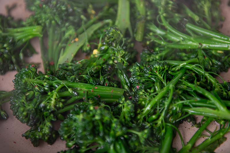 A close up of broccolini florets being cooked in a pan with butter and herbs, fading to soft focus in the background.