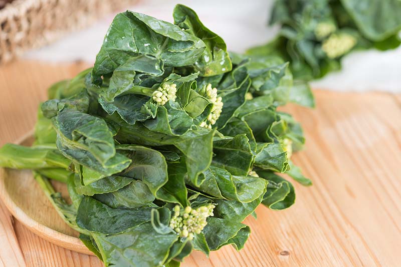 A close up of Chinese kale, freshly harvested with dark green leaves and light colored florets set on a wooden surface fading to soft focus in the background.