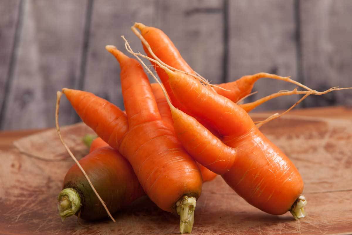 Three oddly-shaped, deformed carrots washed and tops removed set on a wooden chopping board on a soft focus background.