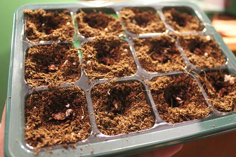 A close up of a green seedling tray with small seeds planted in each section.