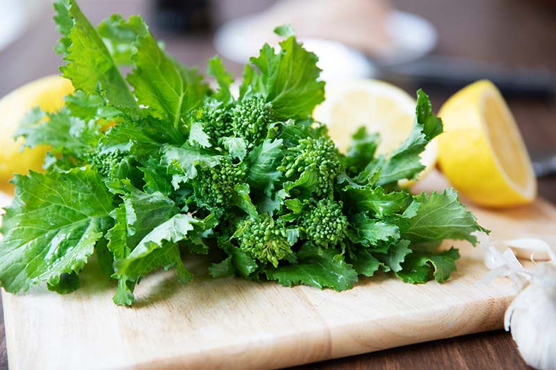 A close up of a freshly harvested rapini with bright green leaves and small florets, set on a wooden surface with a cut lemon to the right of the frame in soft focus.