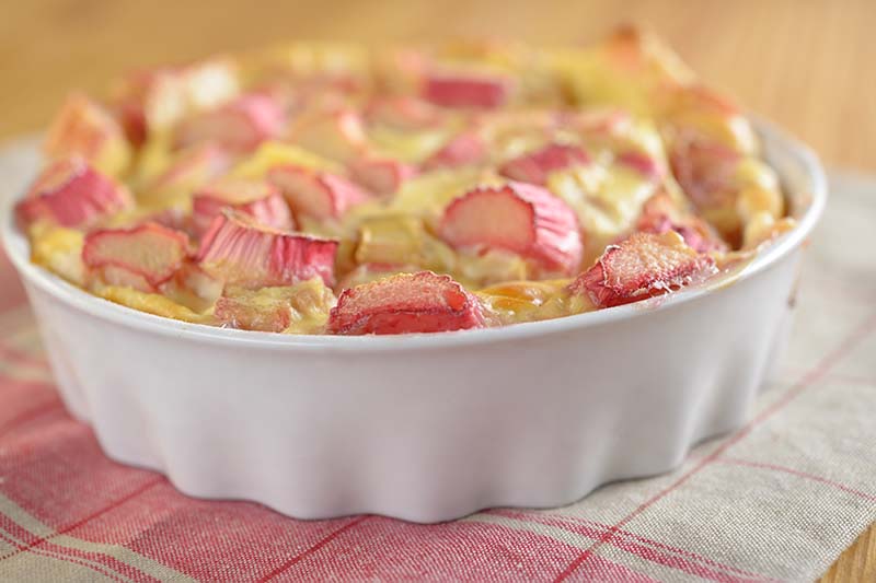 A close up of a white baking dish set on a pink and white checked fabric cloth, with a rustic rhubarb pie fresh out of the oven, fading to soft focus in the background.