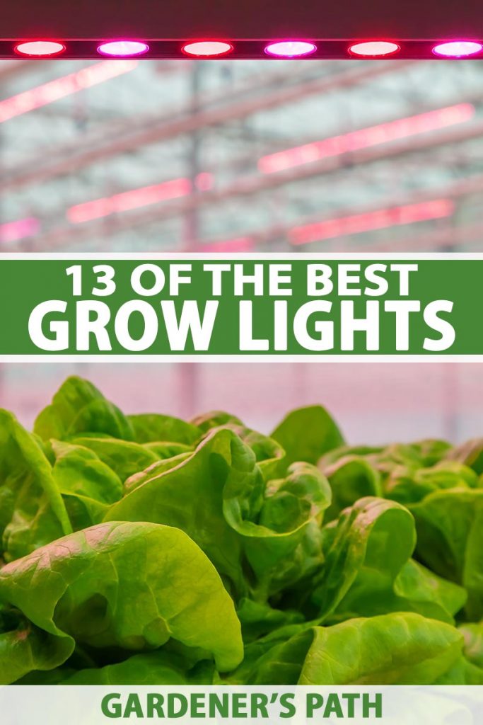 A vertical picture of a healthy crop of indoor lettuce growing under a LED light with a soft focus background. To the center and bottom of the frame is green and white text.