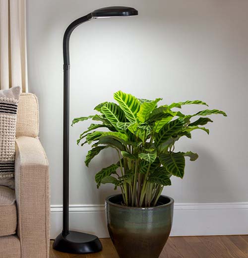 13 Of The Best Grow Lights For Indoor, Natural Sun Lamp For Plants