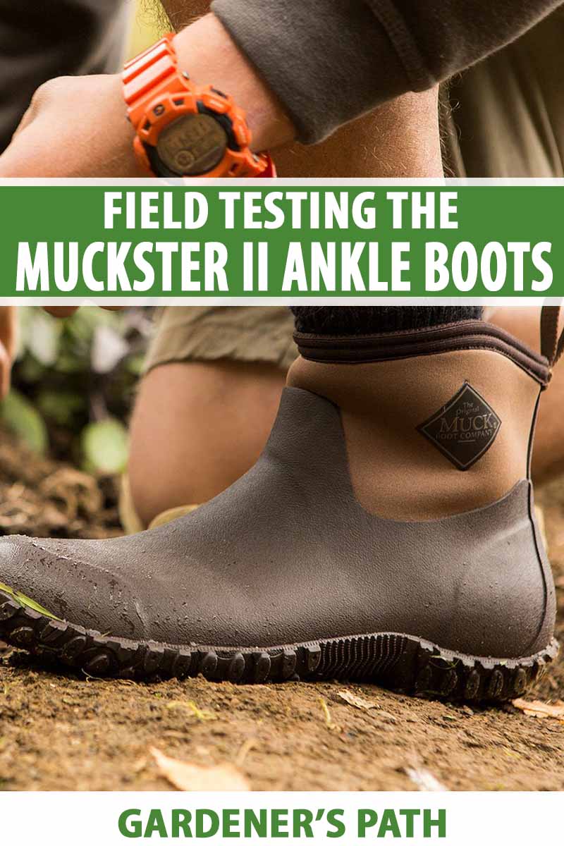 Muckster II Ankle Muck Boots Review | A 