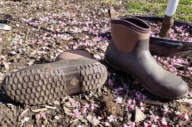 A close up of a pair of two tone brown gardening shoes, with one of them set on the side to show the tread, pictured in sunshine in the garden.
