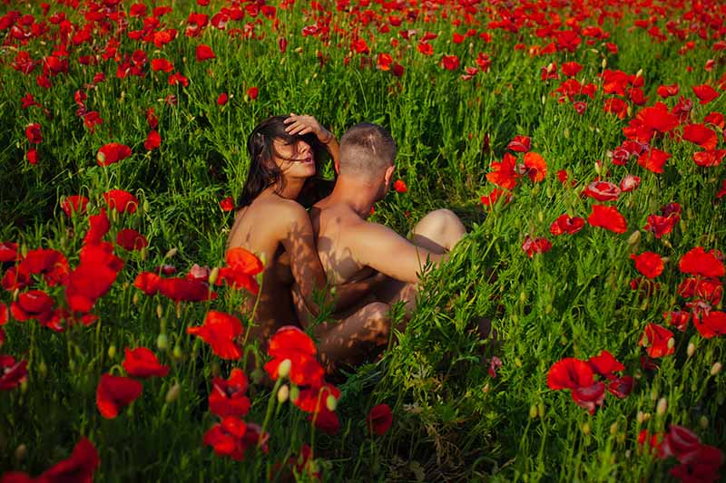 A close up of a man with a woman sitting behind him, naked in a field of red flowers and soft green foliage in bright sunshine.