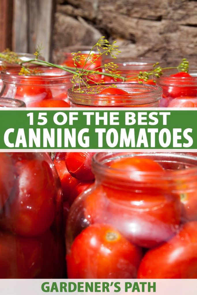 15 of the Best Canning Tomatoes You Should Grow