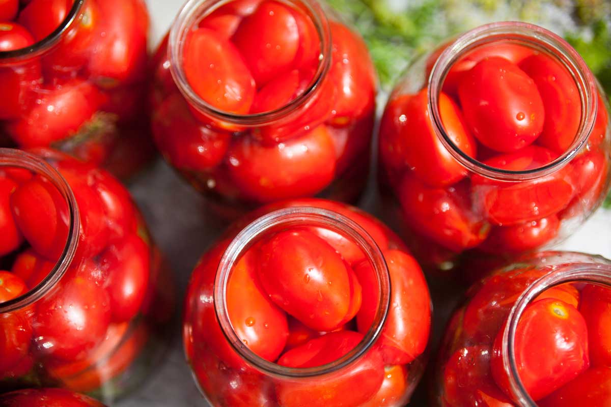 A close up top down picture of glass jars containing freshly harvested tomatoes, pictured in bright sunshine on a soft focus background.