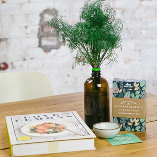 A wooden table with a book, a bottle growing herbs, and small box, with a brick wall in the background.