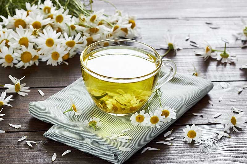 A glass tea cup with chamomile tea set on a striped fabric on a wooden surface with flowers scattered around.