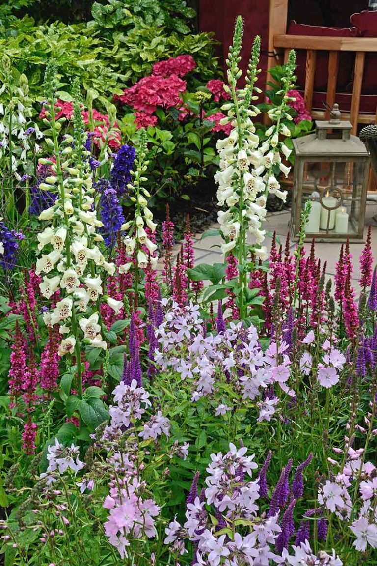 How to Attract Pollinators to the Garden | Gardener’s Path