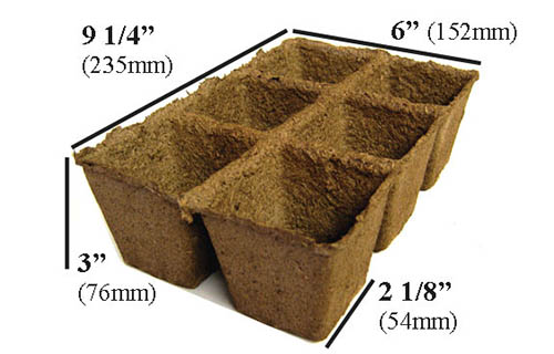 A close up of biodegradable Cow Pots in a six-cell tray showing the dimensions on a white background.
