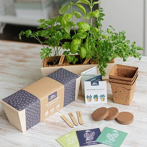 A close up of the contents of the Herb Garden Trio Culinary Herbs Kit with coconut coir pots, a wooden planter, and seeds, set on a wooden surface.