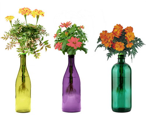 A set of three colorful bottles with edible flowers growing from them on a white background.