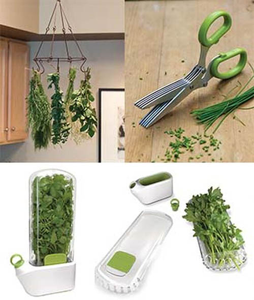 A collage of pictures showing herbs hanging from the ceiling to dry, a pair of herb cutting scissors, and plastic storage containers.