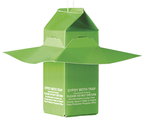 A close up of a trap specifically designed for Gypsy moths on a white background.