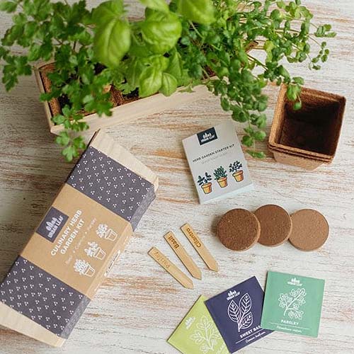 A top down picture of the contents of the Herb Garden Trio Culinary Herbs Kit set on a wooden surface.