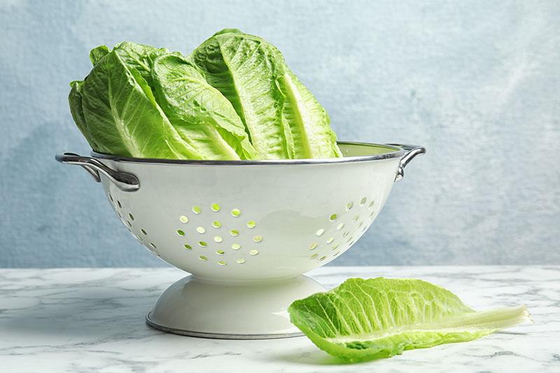 A close up of a whit enamel colander containing Romaine lettuce, set on a marble surface with a blue, soft focus background.