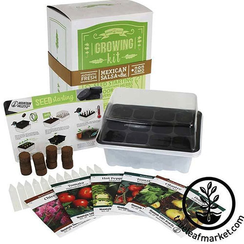 A close up of the contents of the basic version of the Mexican Salsa Growing Kit with seed packets, seed starter trays, soil, and plant markers. To the bottom right of the frame is a black circular logo and text.
