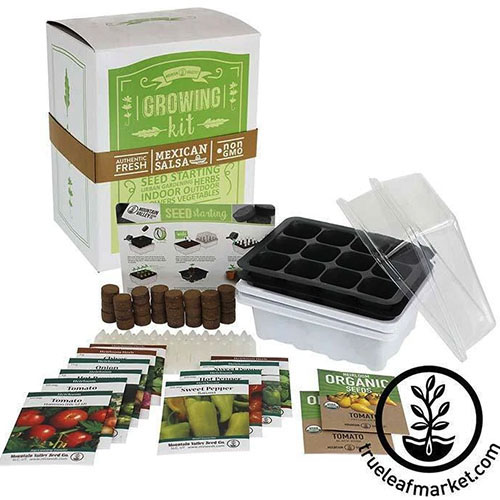 A close up of the contents of the Mexican Salsa Growing Kit showing seed packets, seed starter trays, dehydrated soil, and plant markers. To the bottom right of the frame is a circular logo and text.
