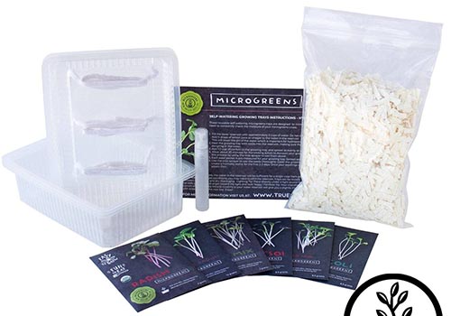 A close up of the contents of a microgreens kit containing everything to get started.
