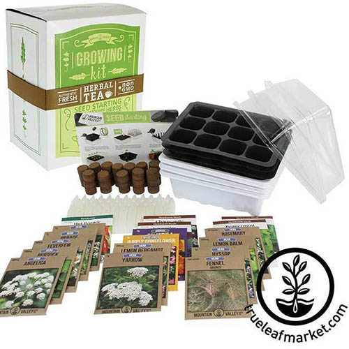 A close up of the contents of the premium tea growing kit with seed packets, seed starter trays, plant markers, and soil. To the bottom right of the frame is a black circular logo and text.