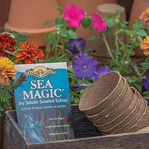 A close up of a wooden box with a packet of Sea Magic fertilizer and coir pots, with flowers in the background.