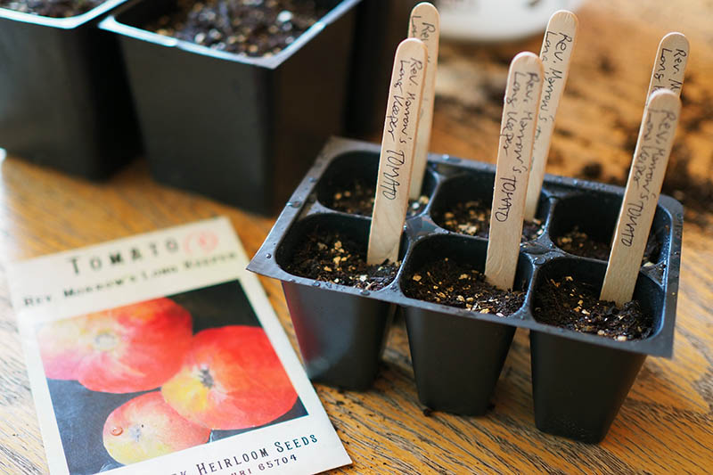 A close up of a plastic tray with six cells and wooden plant markers set on a wooden surface with a seed packet to the left of the frame.