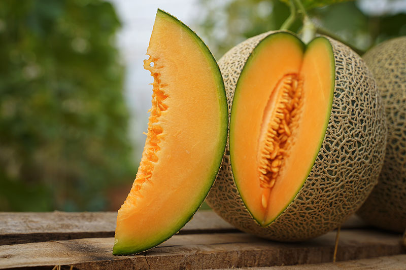 A close up of a ripe melon with a slice cut out of it, set on a wooden surface in the garden, on a soft focus background.