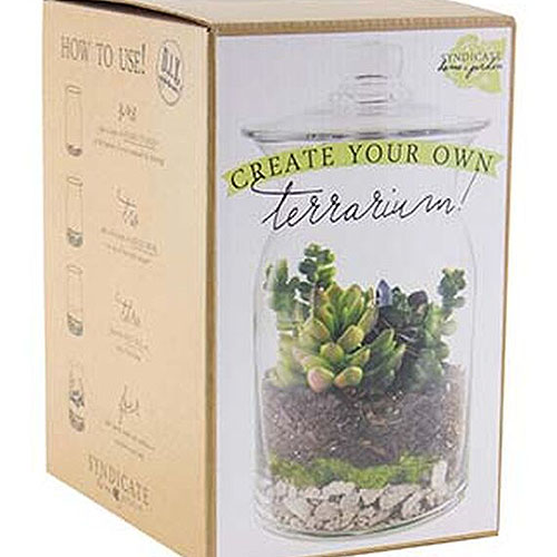 A close up of the packaging of a terrarium kit in a cardboard box with image and text.