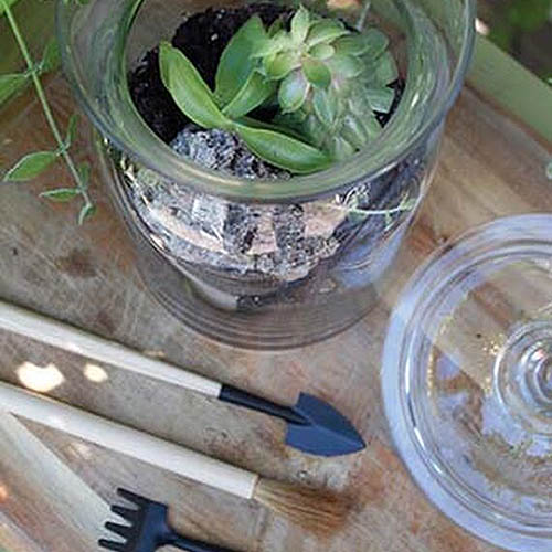 A top down close up of a glass terrarium and tools for planting set on a wooden surface.