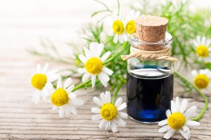 What's the Difference Between English and German Chamomile?
