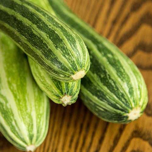 A close up of Cucurbita pepo 'Cocozelle' with striped green fruits, set on a wooden surface.