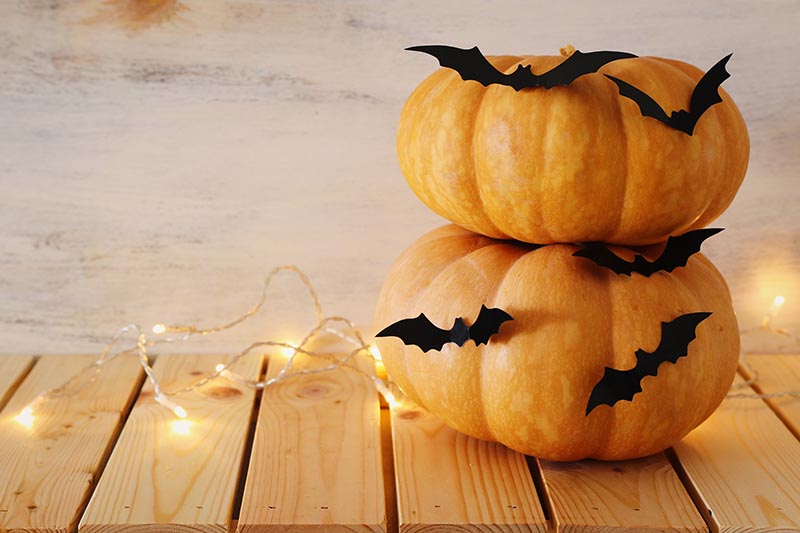 A close up of two winter squash decorated with bats and lights, set on a wooden surface.