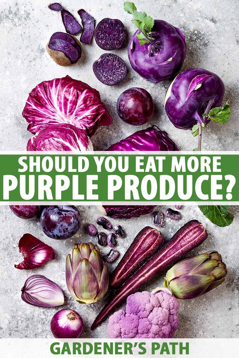 A vertical picture showing a variety of purple vegetables set on a concrete surface. To the center and bottom of the frame is green and white text.