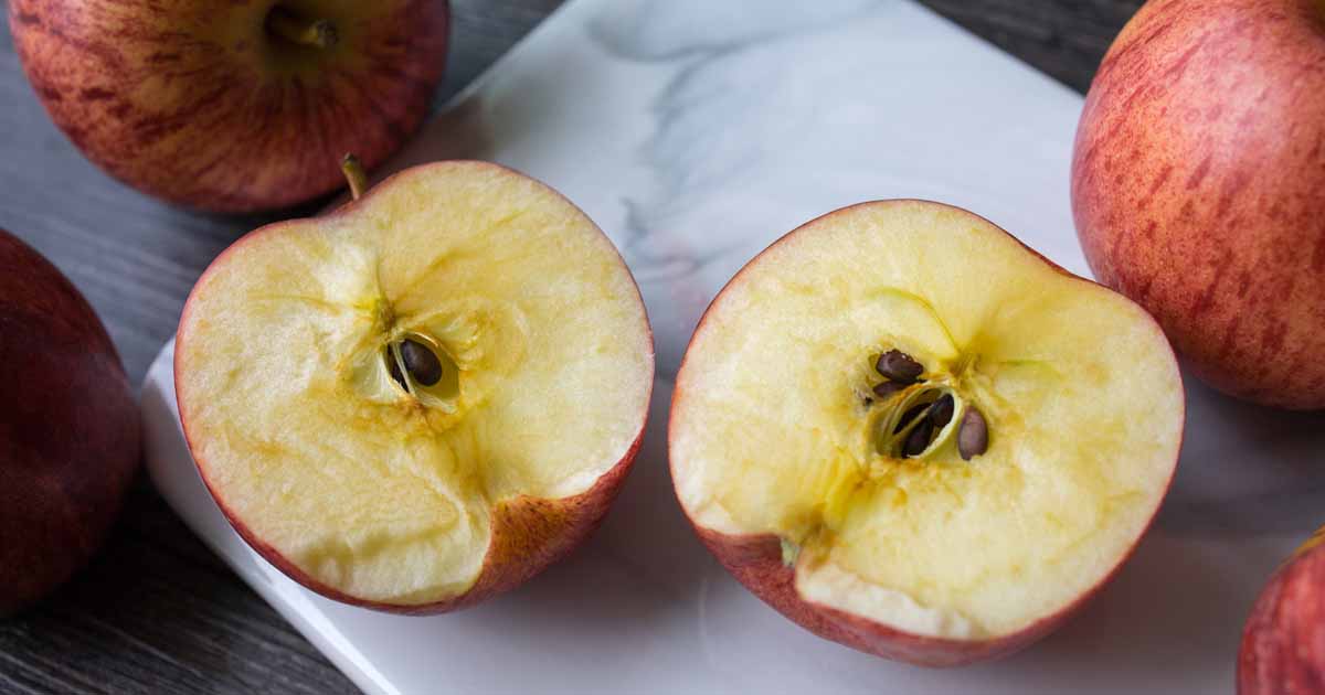 The curse of the Honeycrisp apple