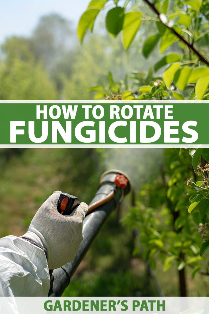 A close up vertical picture of a gloved hand from the left of the frame holding a sprayer deploying fungicidal treatment to the foliage of plants. To the center and bottom of the frame is green and white text.