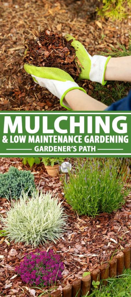 Mulch For Low Maintenance Gardening, What Kind Of Mulch Is Best For Garden Paths